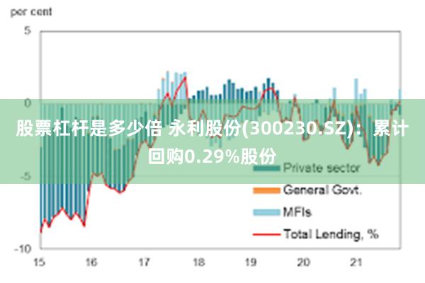 股票杠杆是多少倍 永利股份(300230.SZ)：累计回购0.29%股份