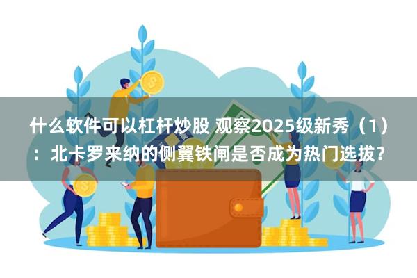 什么软件可以杠杆炒股 观察2025级新秀（1）：北卡罗来纳的侧翼铁闸是否成为热门选拔？