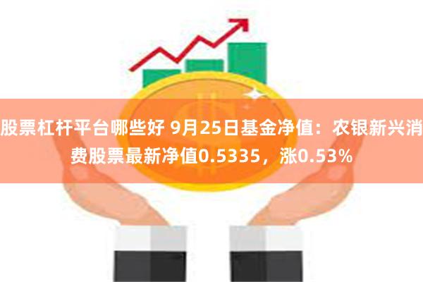 股票杠杆平台哪些好 9月25日基金净值：农银新兴消费股票最新净值0.5335，涨0.53%