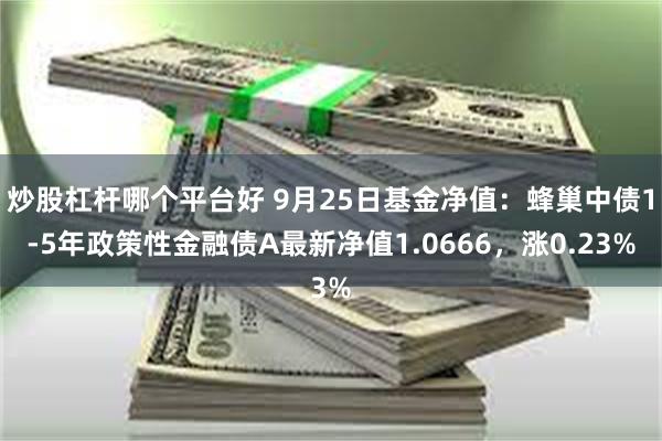 炒股杠杆哪个平台好 9月25日基金净值：蜂巢中债1-5年政策性金融债A最新净值1.0666，涨0.23%