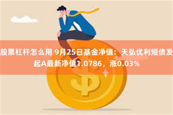 股票杠杆怎么用 9月25日基金净值：天弘优利短债发起A最新净值1.0786，涨0.03%