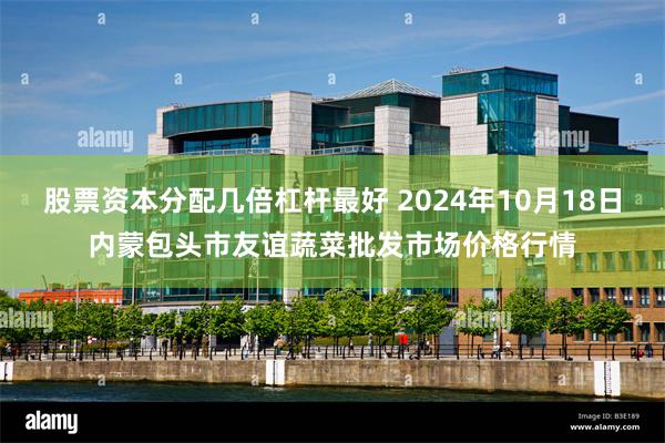 股票资本分配几倍杠杆最好 2024年10月18日内蒙包头市友谊蔬菜批发市场价格行情