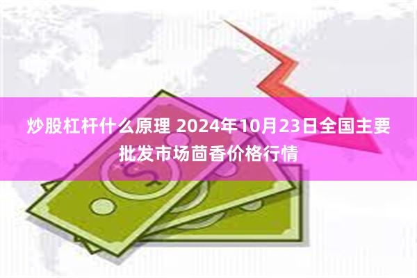 炒股杠杆什么原理 2024年10月23日全国主要批发市场茴香价格行情