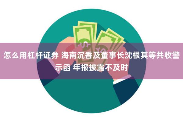 怎么用杠杆证券 海南沉香及董事长沈根其等共收警示函 年报披露不及时