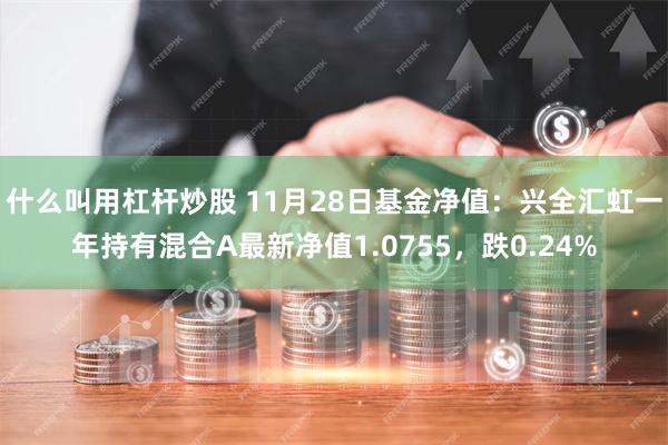 什么叫用杠杆炒股 11月28日基金净值：兴全汇虹一年持有混合A最新净值1.0755，跌0.24%